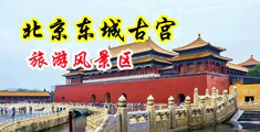 在线美女骚妇中国北京-东城古宫旅游风景区